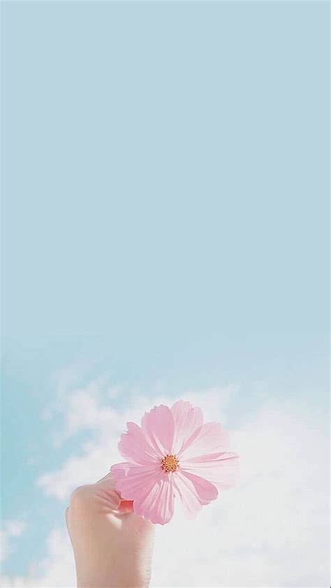 #wallpaper #iphone #android #background #sky #blue #pink #flowers ...