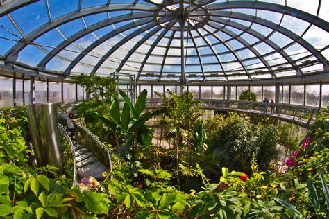 Sunderland Museum. The Winter Gardens. | See: www.twmuseums.… | Flickr