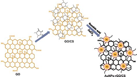 Schematic illustration for the synthesis of chitosan stabilized ...