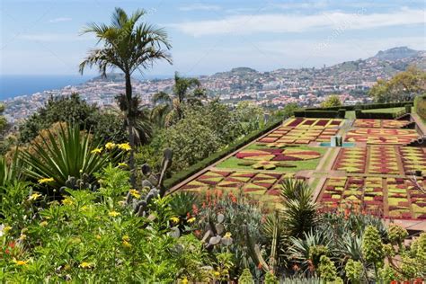 Botanical garden of Funchal at Madeira Island, Portugal — Stock Photo ...