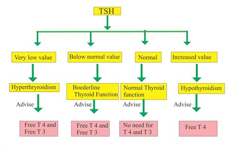 Thyroid – Part 1 – Thyroid Function Test (Thyroid Hormones) T4, T3, TSH ...