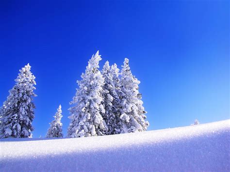 wallpaper: Snow Wallpapers