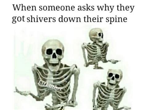 Spooky scary Skeletons - Meme by Robby112 :) Memedroid