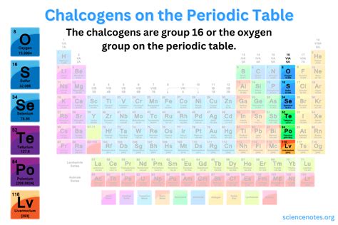 Chalcogens on the Periodic Table - Oxygen Group or Group 16