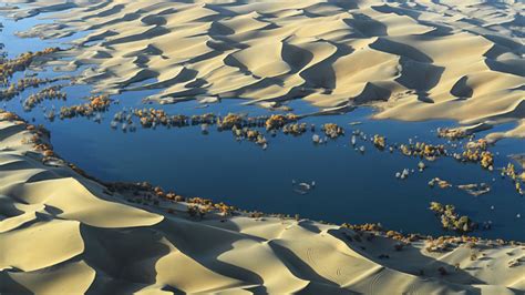 Carbon tomb buried deep under Chinese desert | Science | AAAS