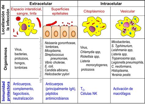 Introducción a la inmunología