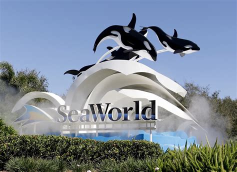 SeaWorld logo (1996–) - Fonts In Use