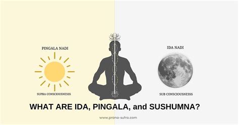 Ida, Pingala, Sushumna - Three Main Nadis in Yoga