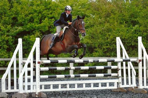 Riding Farm Equestrian Centre