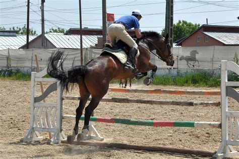 Horse jumping obstacles | nite dan | Flickr