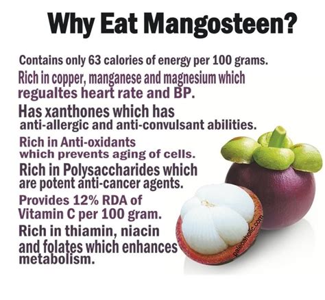 Mangosteen Health Benefits - Twin Fruit