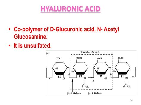 Metabolism of mucopolysaccharides