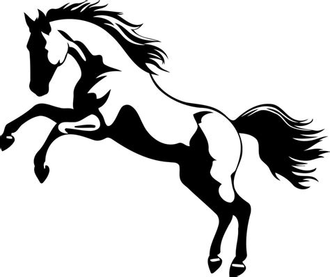 animal horse rearing black and white silhouette 23621536 Vector Art at ...