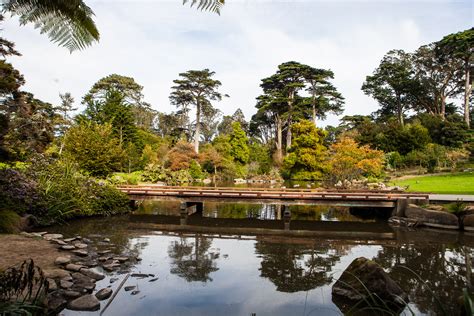 Golden Gate Park Botanical Gardens / Top Things To Do In Golden Gate ...