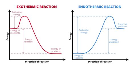 Vector Graphs Or Charts Of Endothermic And Exothermic Reactions ...