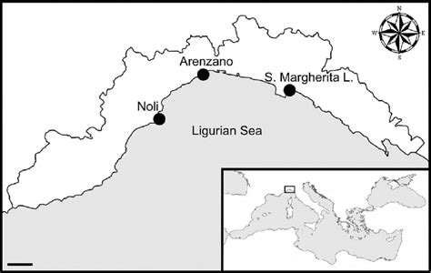 Map of the Ligurian Sea showing the study sites. Scale bar = 10 km ...