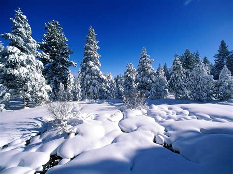 wallpaper: Snow Wallpapers