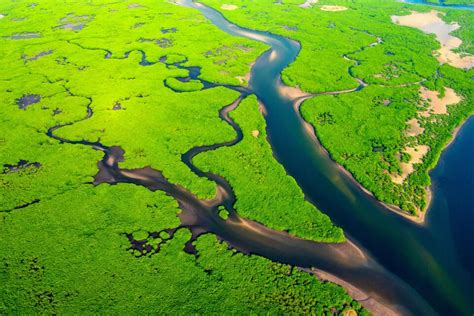 River deltas are threatened by human activities • Earth.com