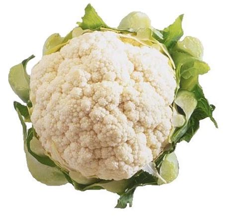 Bunga Kol Putih (White Cauliflower)