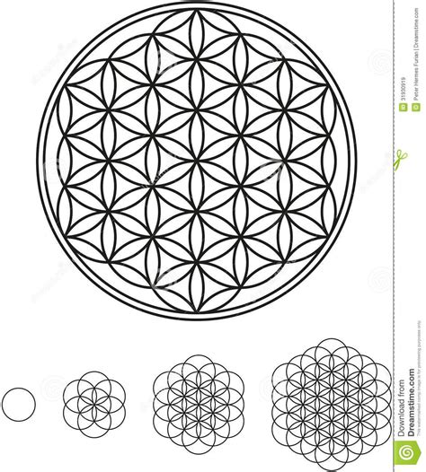 circle of life symbol - Google Search | Flower of life tattoo, Flower ...