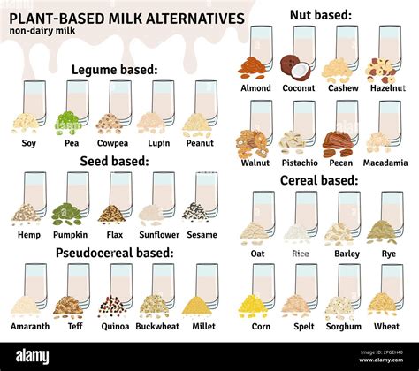 Set of glasses with plant-based milk. Vegan milk types infographic ...