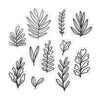 Floral Leaves Vector Art, Icons, and Graphics for Free Download