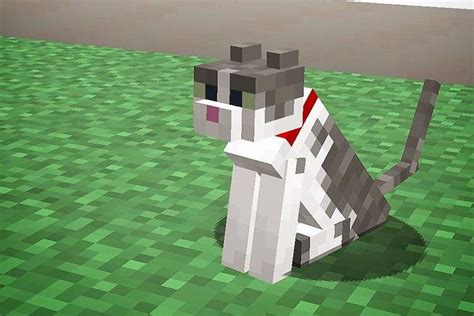 175 Minecraft Cat Names - The Ultimate Naming Guide