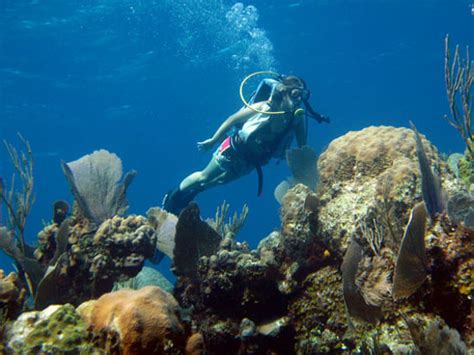 Andros Diving - All You Need to Know Before You Go (with Photos ...