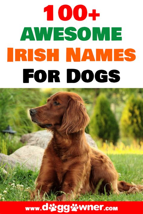 100+ AWESOME Irish Names For Dogs | Irish names, Dog names, Big dog names