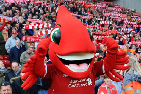 All 20 of the Premier League Mascots in 2023/24 | Footy Accumulators