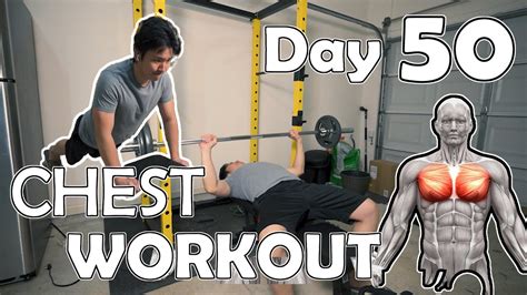 Easy Chest Workout | Day 50 - Workout From Home | Body Transformation ...