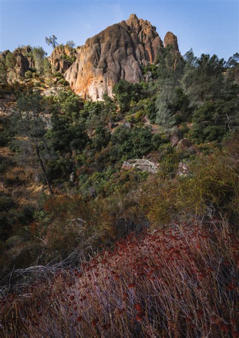 Hiking Pinnacles National Park: The Best Trail to See It All - The ...