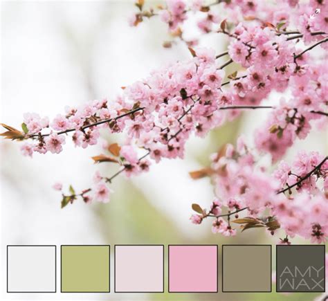 Nature's Color Palettes: Looking to our Planet for Color-Inspiration!