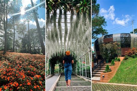 Botanical Garden Baguio City (2023 Updated Travel Guide) - Wander Era