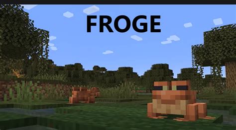 FROGE IN MINECRAFT (upcoming) : meme