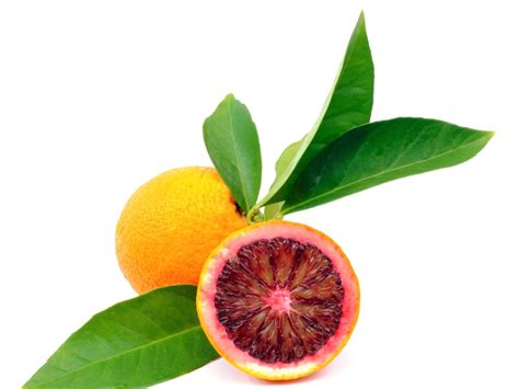 Blood Orange Facts - Tips For Growing Blood Orange Trees