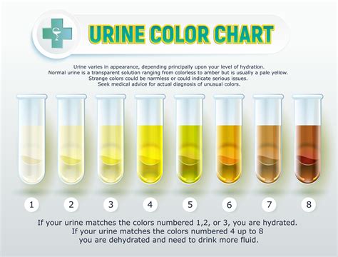 6 reasons why you should hydrate properly pinoy fitness urine color ...