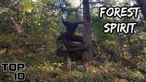 Top 10 Scary Creatures Seen In Forests - Top 10 Junky!