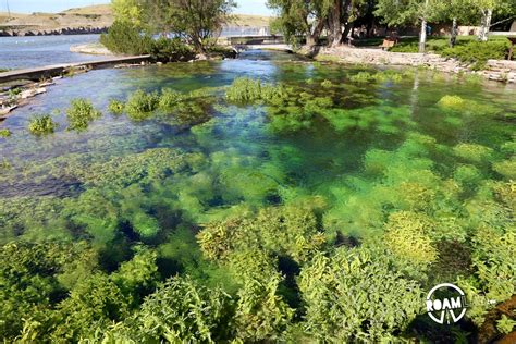 Giant Springs State Park - Great Falls, Montana | Roam Lab