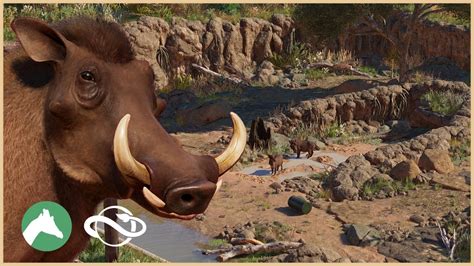 Warthog Habitat | Desert Adventure Park | Planet Zoo - YouTube