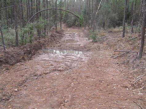 Texas A&M Forest Service: Water Resources: The basics of waterbars and ...