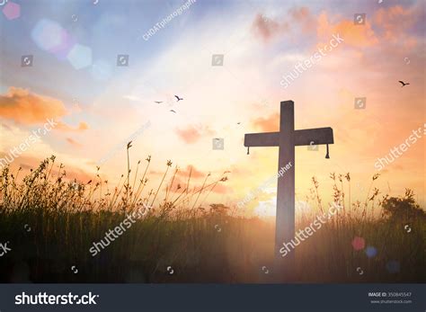 Background Image Church Office Cross Symbol Stock Photo 350845547 ...