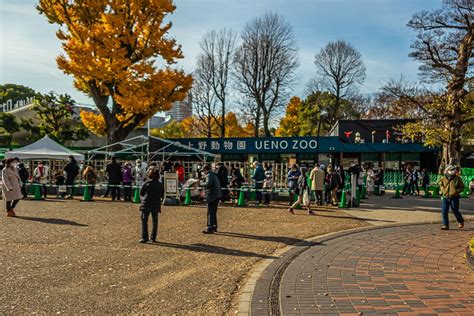 Ueno zoo in Tokyo is the best zoo to visit