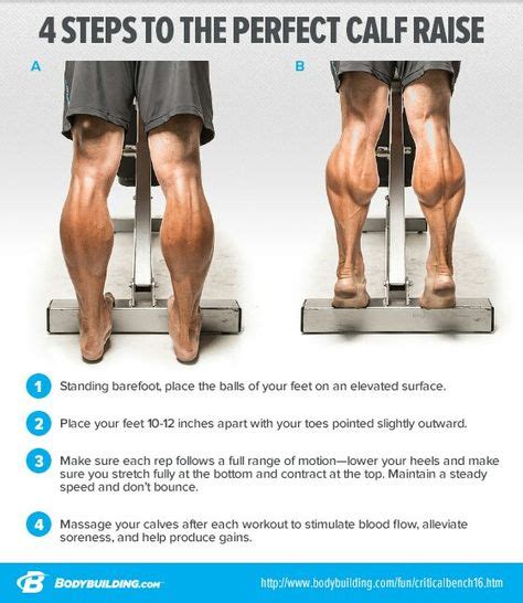 Perfect Calf Raises | Calf exercises, Weight training workouts, Workout