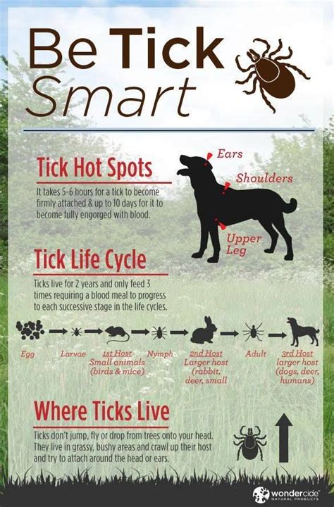 33 best Flea & Tick Prevention images on Pinterest | Pet care, Pet ...