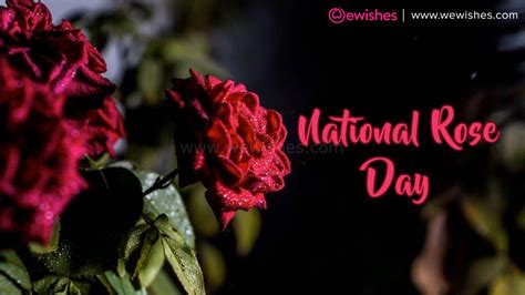 National Rose Day Wishes, Quotes, Images, Posters, Greetings, Messages ...