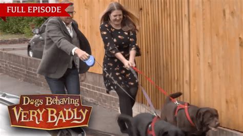 Dogs Behaving Very Badly - Series 1, Episode 1 | Full Episode - YouTube