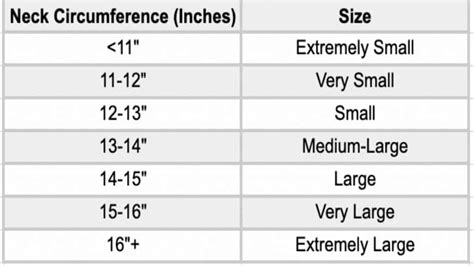 Average Neck Size and Circumference for Men and Women (2022)