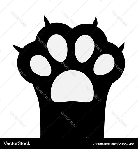 Big black cat paw print leg foot with nail claw Vector Image