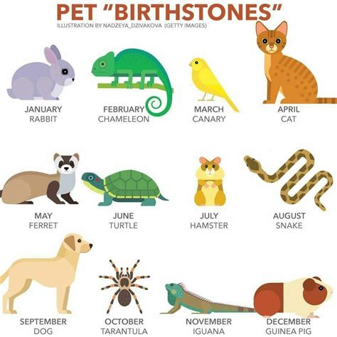 Discover Your Birth Month Animal